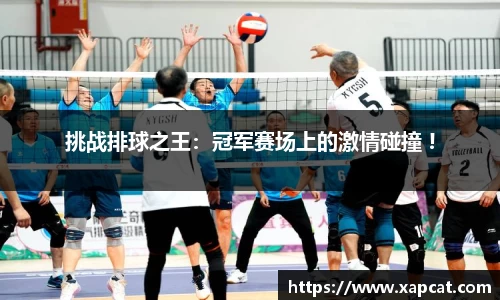 挑战排球之王：冠军赛场上的激情碰撞 !