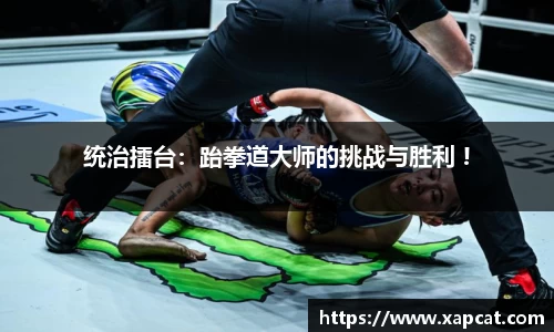 统治擂台：跆拳道大师的挑战与胜利 !